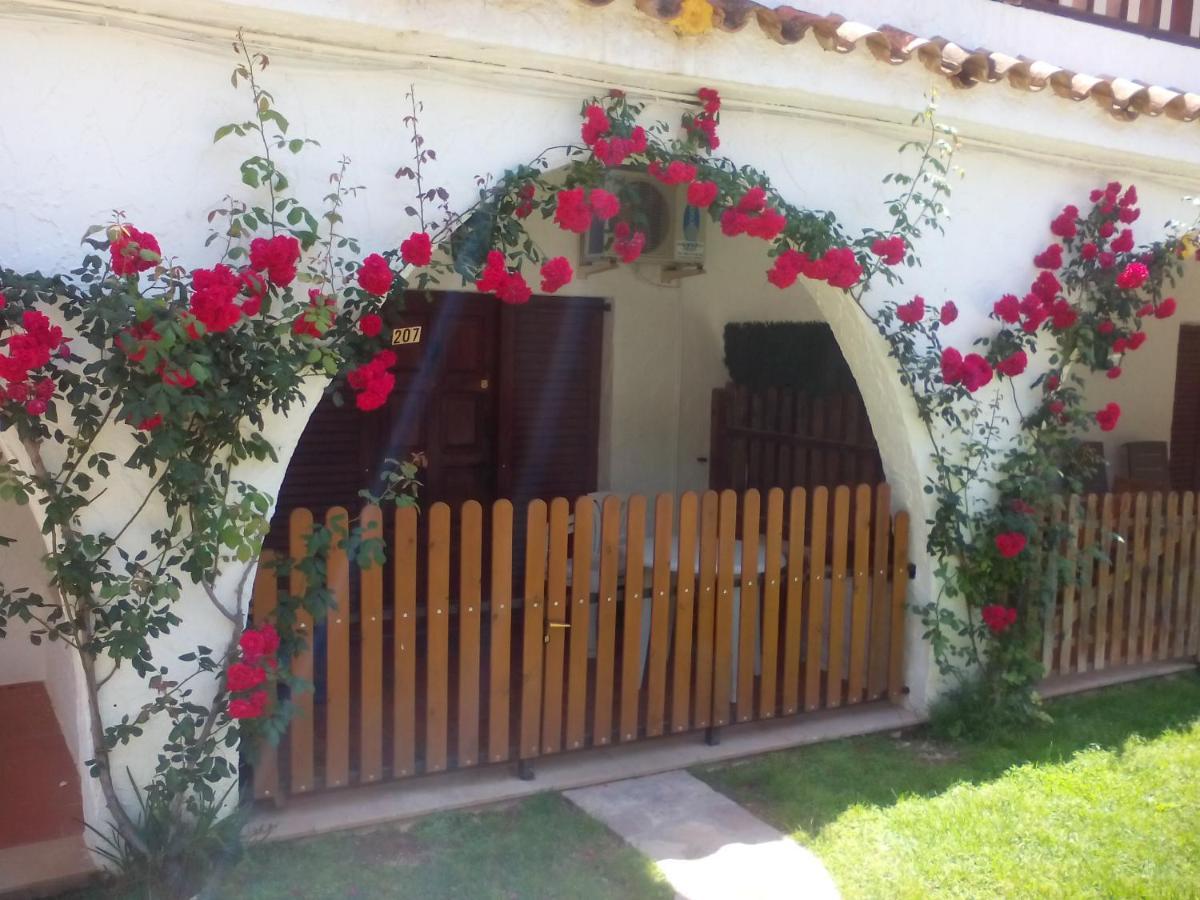 Apartamentos Alcossebre "El Faro Apartaments Alcossebre" Piscina, Playa Y Diversion Zewnętrze zdjęcie